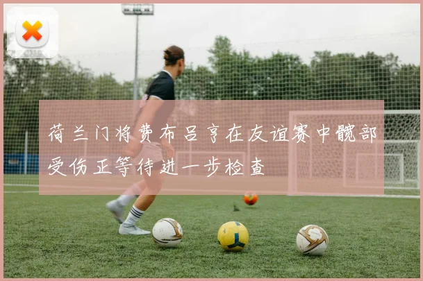 荷兰门将费布吕亨在友谊赛中髋部受伤正等待进一步检查